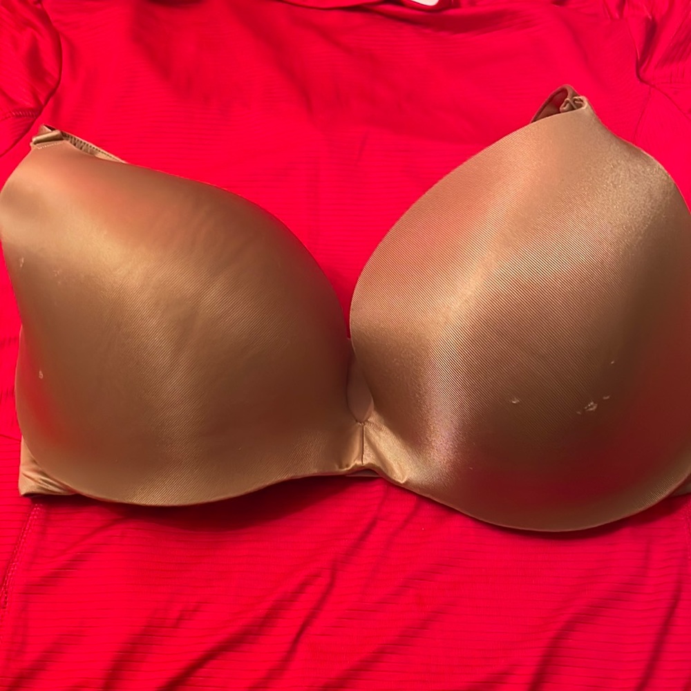 Cacique bra